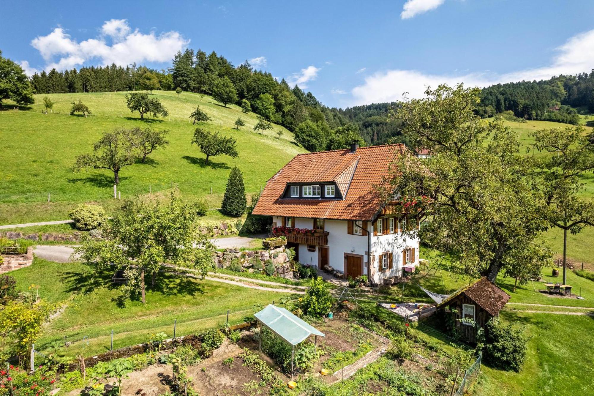 Ferienhaus Vollmer Nordrach المظهر الخارجي الصورة