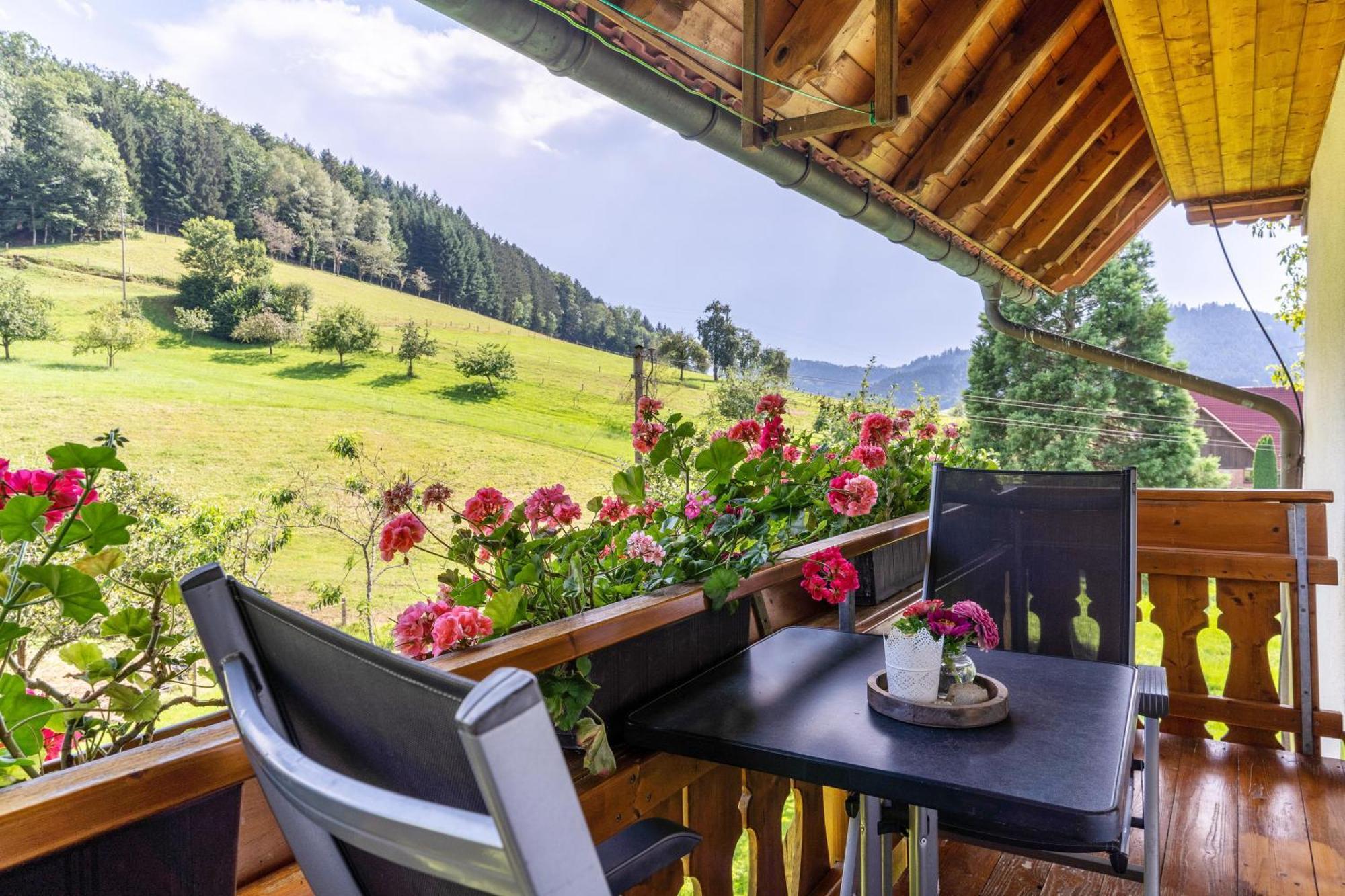 Ferienhaus Vollmer Nordrach المظهر الخارجي الصورة